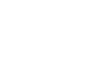 ici-dog